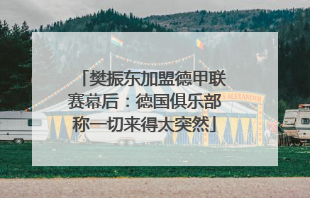 樊振东加盟德甲联赛幕后：德国俱乐部称一切来得太突然