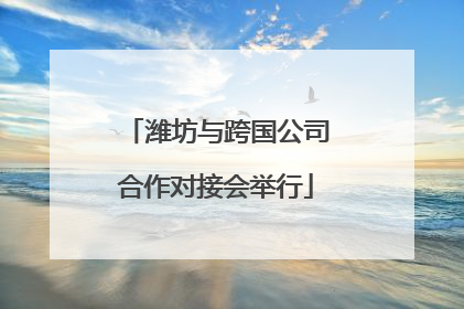 潍坊与跨国公司合作对接会举行