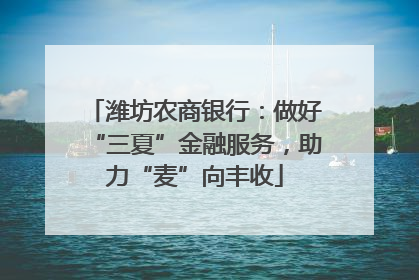 潍坊农商银行：做好“三夏”金融服务，助力“麦”向丰收
