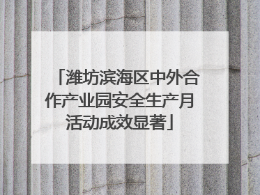 潍坊滨海区中外合作产业园安全生产月活动成效显著