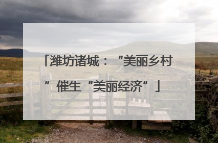 潍坊诸城：“美丽乡村”催生“美丽经济”