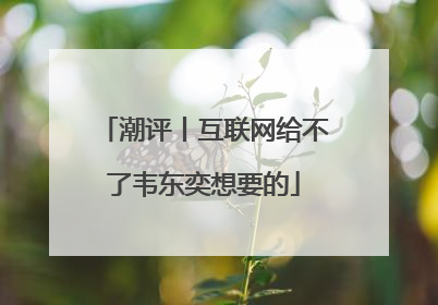 潮评丨互联网给不了韦东奕想要的