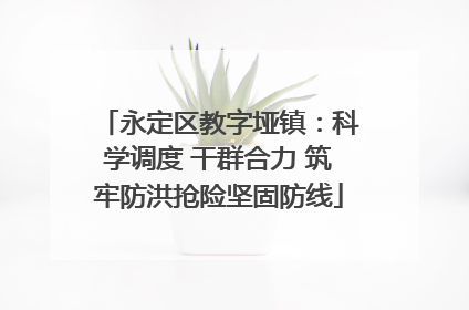 永定区教字垭镇：科学调度 干群合力 筑牢防洪抢险坚固防线