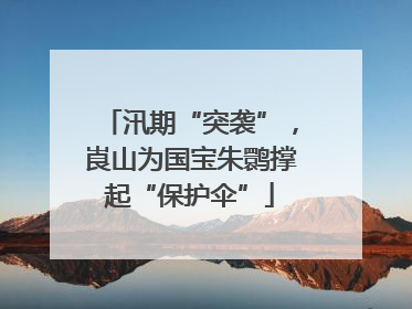 汛期“突袭”，崀山为国宝朱鹮撑起“保护伞”