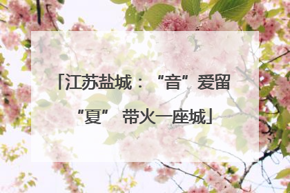 江苏盐城：“音”爱留“夏” 带火一座城