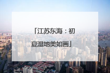 江苏东海：初夏湿地美如画