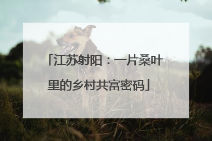 江苏射阳：一片桑叶里的乡村共富密码