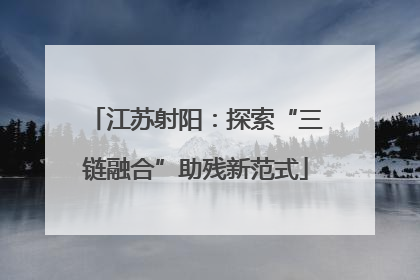 江苏射阳：探索“三链融合”助残新范式