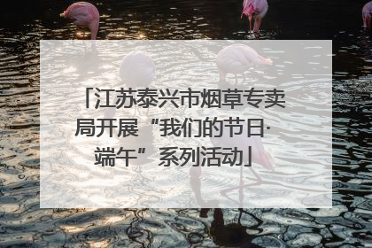 江苏泰兴市烟草专卖局开展“我们的节日·端午”系列活动