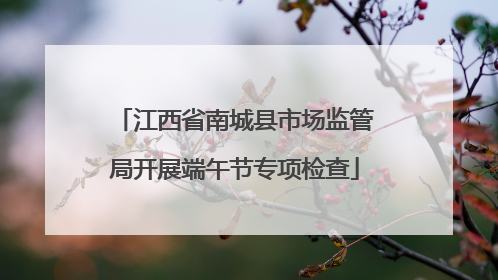 江西省南城县市场监管局开展端午节专项检查