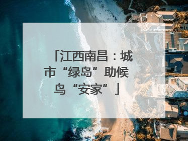 江西南昌：城市“绿岛”助候鸟“安家”