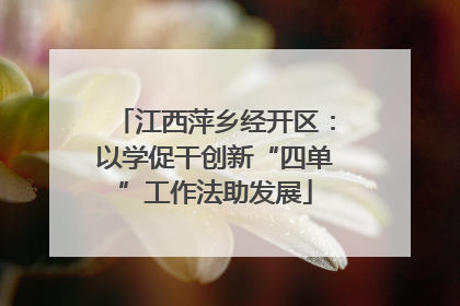江西萍乡经开区：以学促干创新“四单”工作法助发展