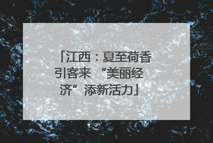 江西：夏至荷香引客来 “美丽经济”添新活力