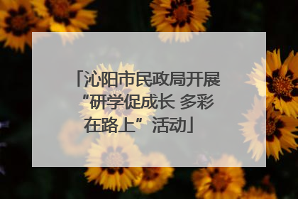 沁阳市民政局开展“研学促成长 多彩在路上”活动