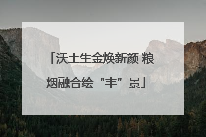 沃土生金焕新颜 粮烟融合绘“丰”景