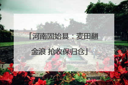 河南固始县：麦田翻金浪 抢收保归仓