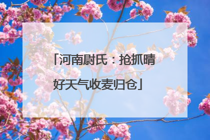 河南尉氏：抢抓晴好天气收麦归仓