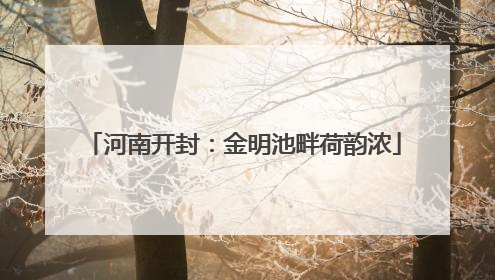 河南开封：金明池畔荷韵浓
