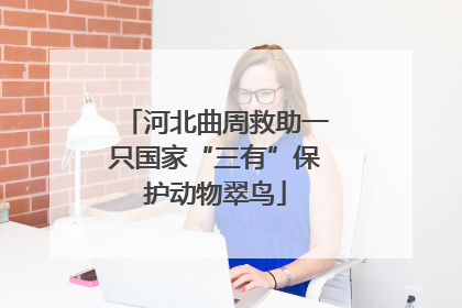 河北曲周救助一只国家“三有”保护动物翠鸟