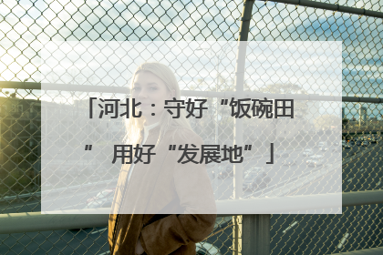 河北：守好“饭碗田” 用好“发展地”