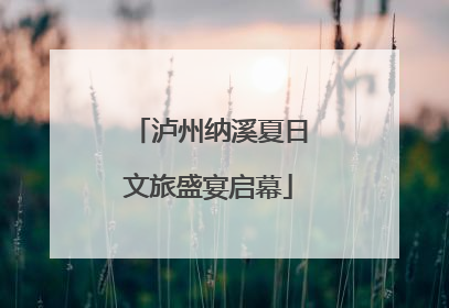 泸州纳溪夏日文旅盛宴启幕