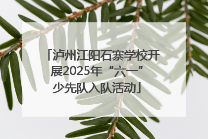 泸州江阳石寨学校开展2025年“六一”少先队入队活动