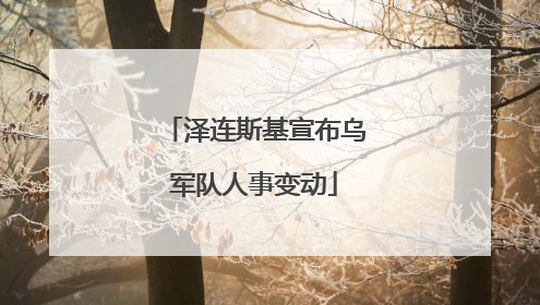 泽连斯基宣布乌军队人事变动