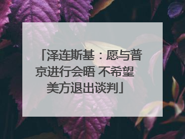 泽连斯基：愿与普京进行会晤 不希望美方退出谈判