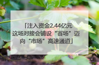 注入资金2.44亿元 这场对接会铺设“赛场”迈向“市场”高速通道