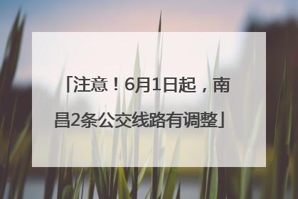 注意！6月1日起，南昌2条公交线路有调整