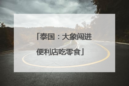 泰国：大象闯进便利店吃零食