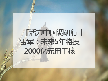 活力中国调研行｜雷军：未来5年将投2000亿元用于核心技术研发