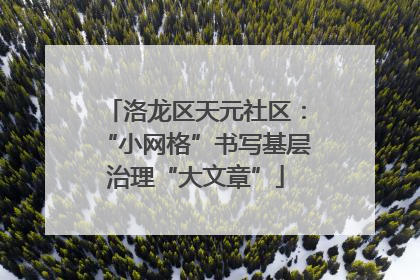 洛龙区天元社区：“小网格”书写基层治理“大文章”