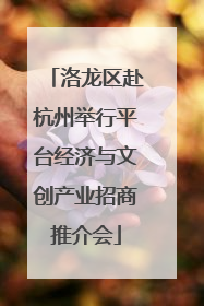 洛龙区赴杭州举行平台经济与文创产业招商推介会