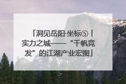 洞见岳阳·坐标⑤丨实力之城——“千帆竞发”的江湖产业宏图