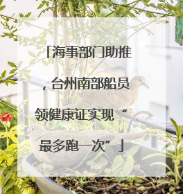 海事部门助推，台州南部船员领健康证实现“最多跑一次”