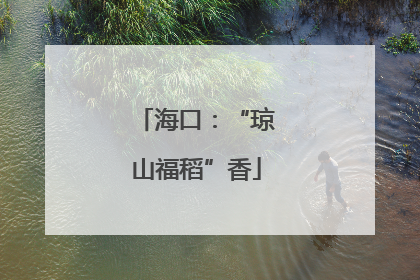海口：“琼山福稻”香
