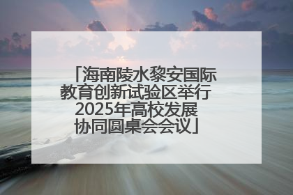 海南陵水黎安国际教育创新试验区举行2025年高校发展协同圆桌会会议