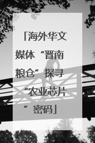 海外华文媒体“晋南粮仓”探寻“农业芯片”密码