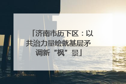 济南市历下区：以共治力量绘就基层矛调新“枫”景