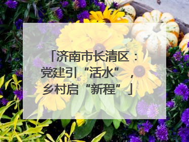 济南市长清区：党建引“活水”，乡村启“新程”
