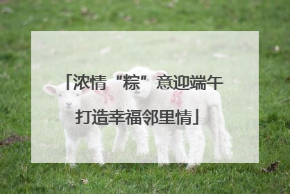 浓情“粽”意迎端午 打造幸福邻里情