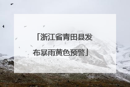 浙江省青田县发布暴雨黄色预警