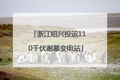 浙江绍兴投运110千伏谢慕变电站