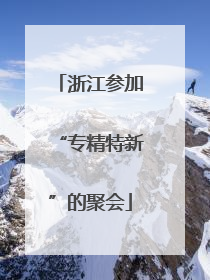 浙江参加“专精特新”的聚会