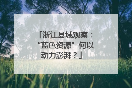 浙江县域观察：“蓝色资源”何以动力澎湃？