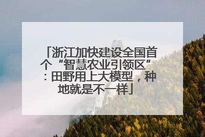 浙江加快建设全国首个“智慧农业引领区”：田野用上大模型，种地就是不一样