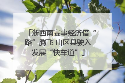 浙西南赛事经济借“路”腾飞 山区县驶入发展“快车道”