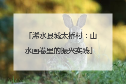 浠水县城太桥村：山水画卷里的振兴实践
