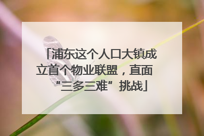 浦东这个人口大镇成立首个物业联盟，直面“三多三难”挑战